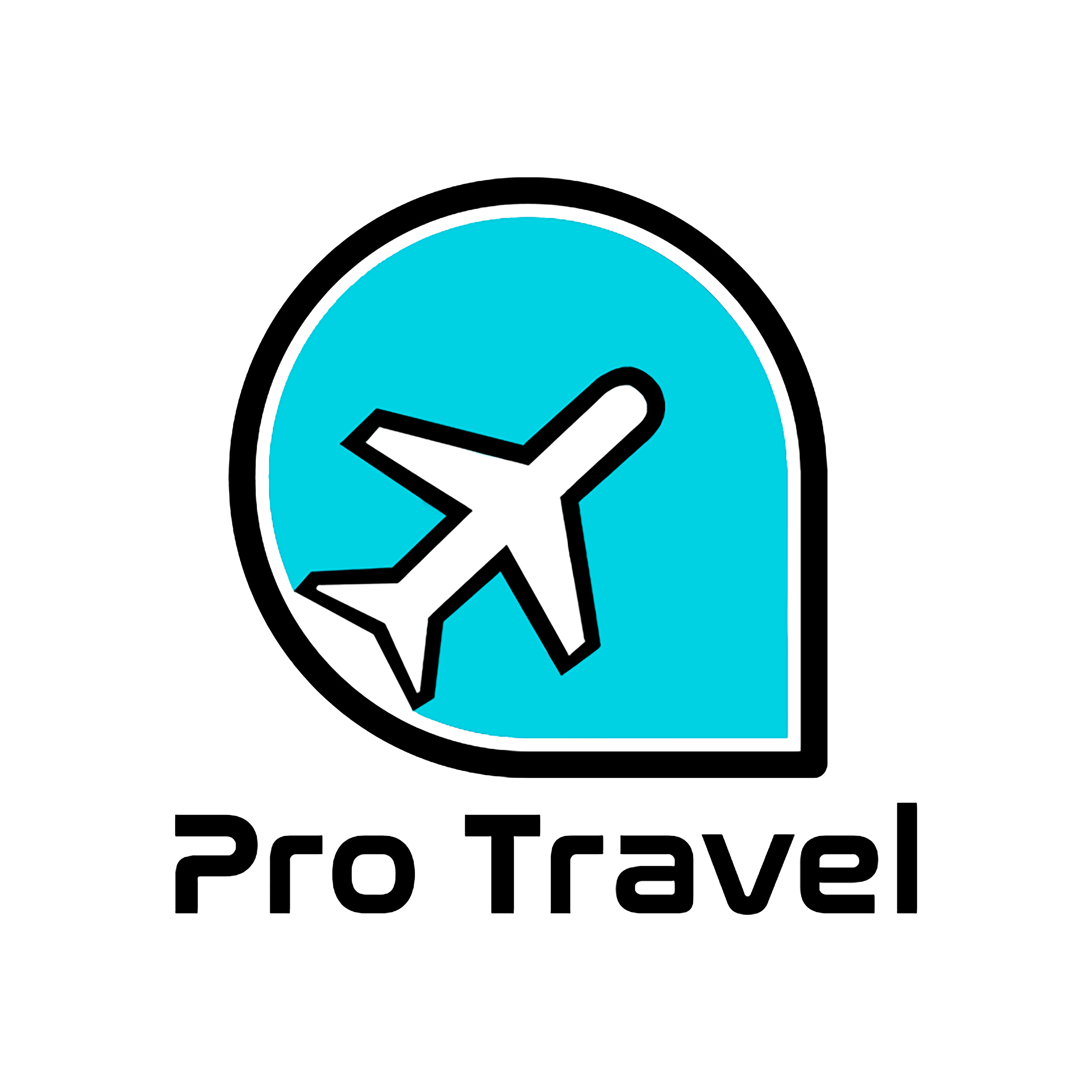 pro travel